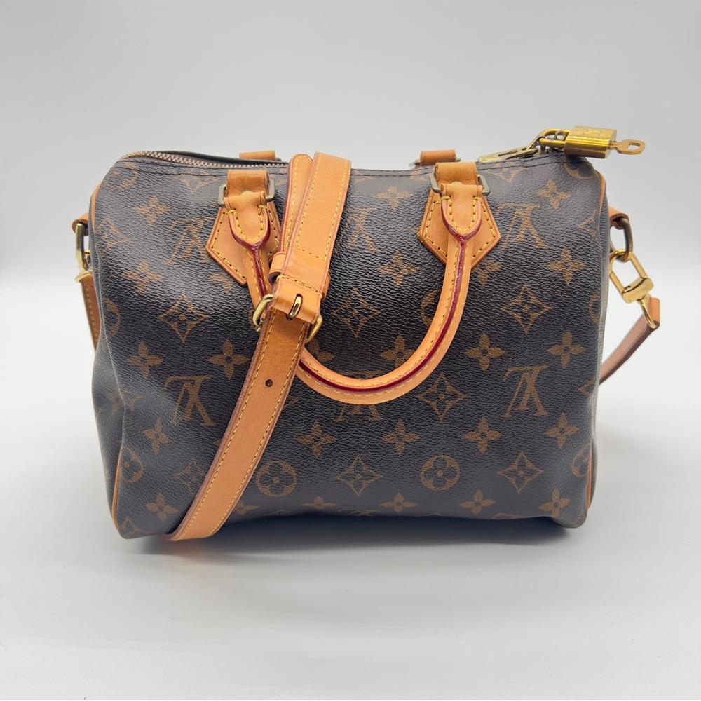 Louis Vuitton Brown and Tan Crossbody Bag